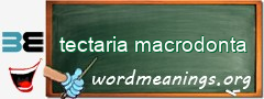 WordMeaning blackboard for tectaria macrodonta